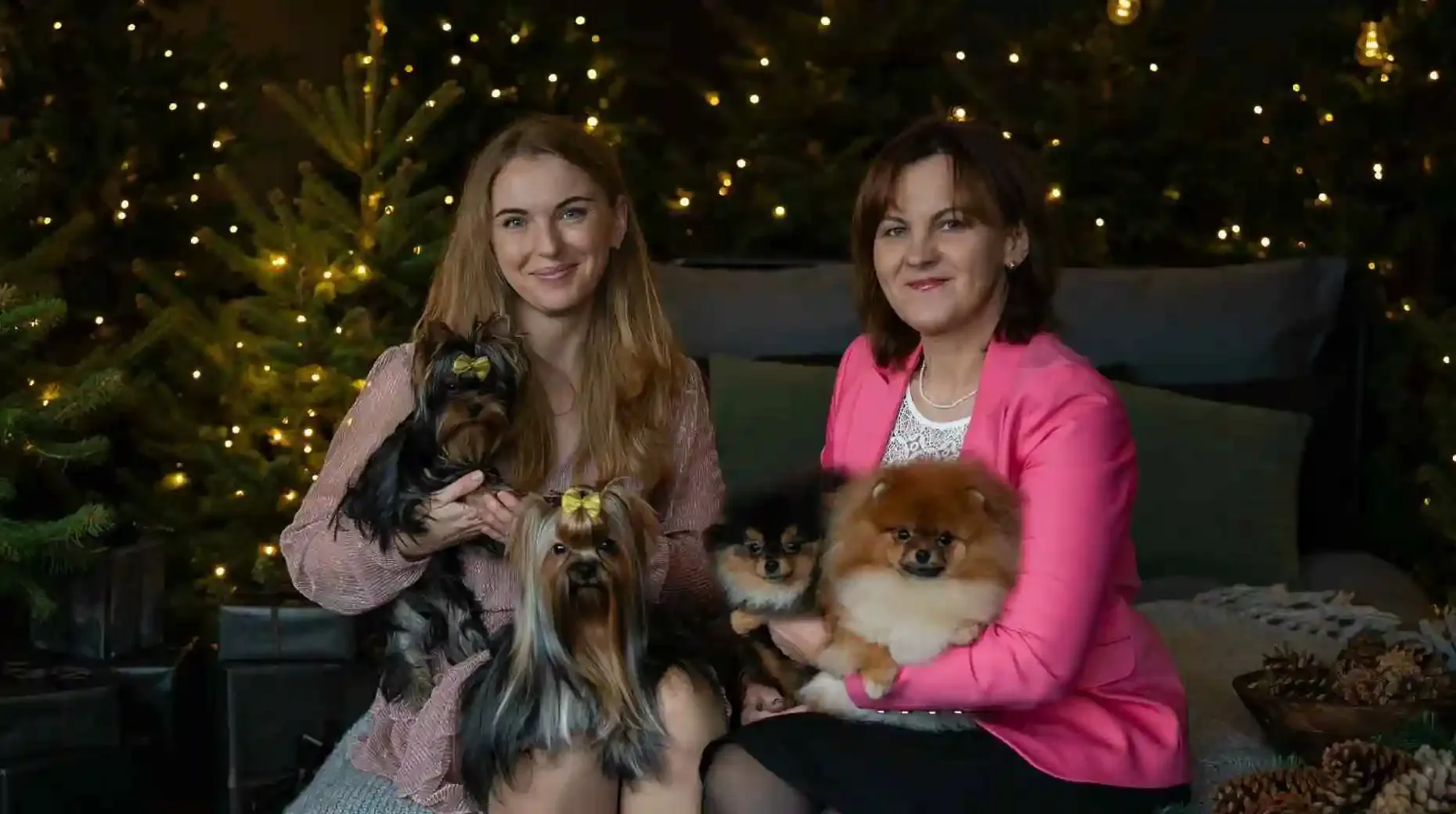 Tai Genijus kennel family